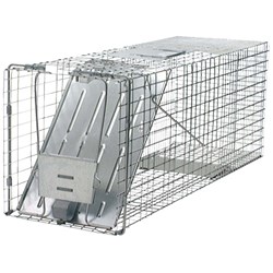 Show details for Havahart Professional Large Live Animal Trap Picture of Havahart Professional Large Live Animal Trap
