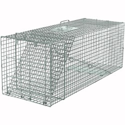 Show details for Havahart Professional Extra-Large Live Animal Trap Picture of Havahart Professional Extra-Large Live Animal Trap