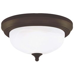 Picture for category Ceiling Light Fixtures