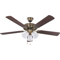 Picture for category Ceiling Fan
