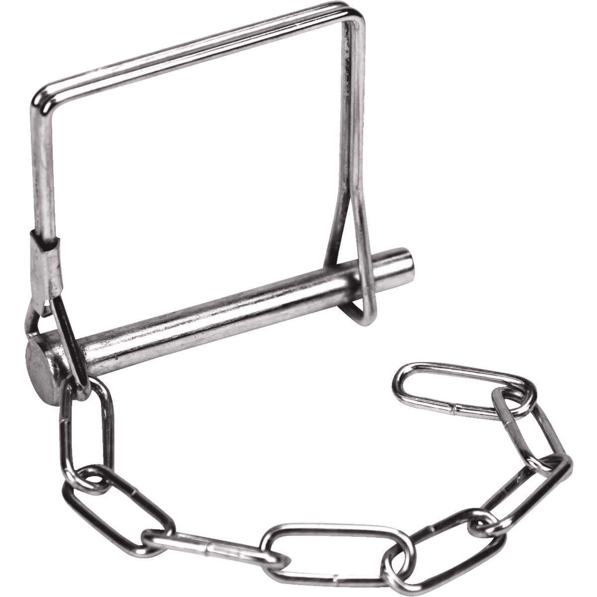 Picture of Reese Towpower Pintle Pin & Chain
