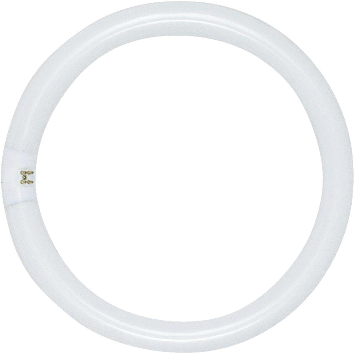 Picture of Satco T9 Circline 4-Pin Fluorescent Tube Light Bulb