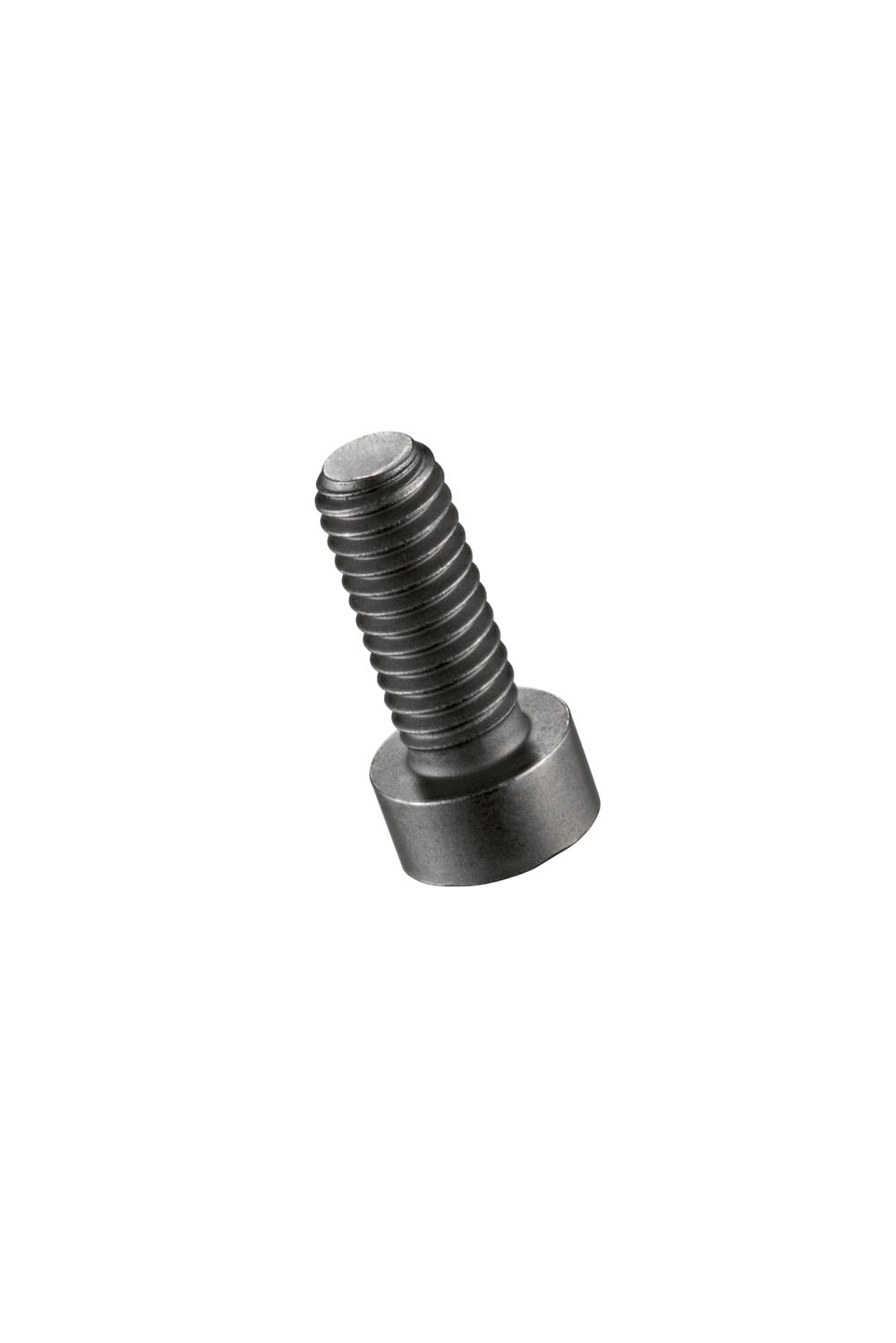 Picture of Hydra Screws (EDP Number: 0018880)