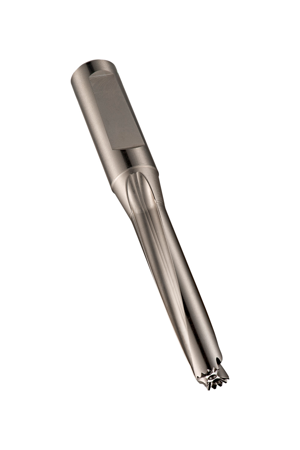 Picture of Hydra Body 5 x D - H8551.3/64