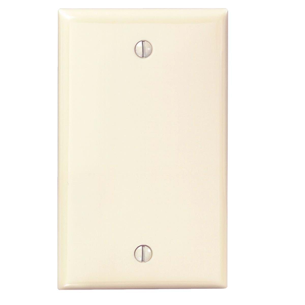 Picture of Leviton Nylon Blank Wall Plate