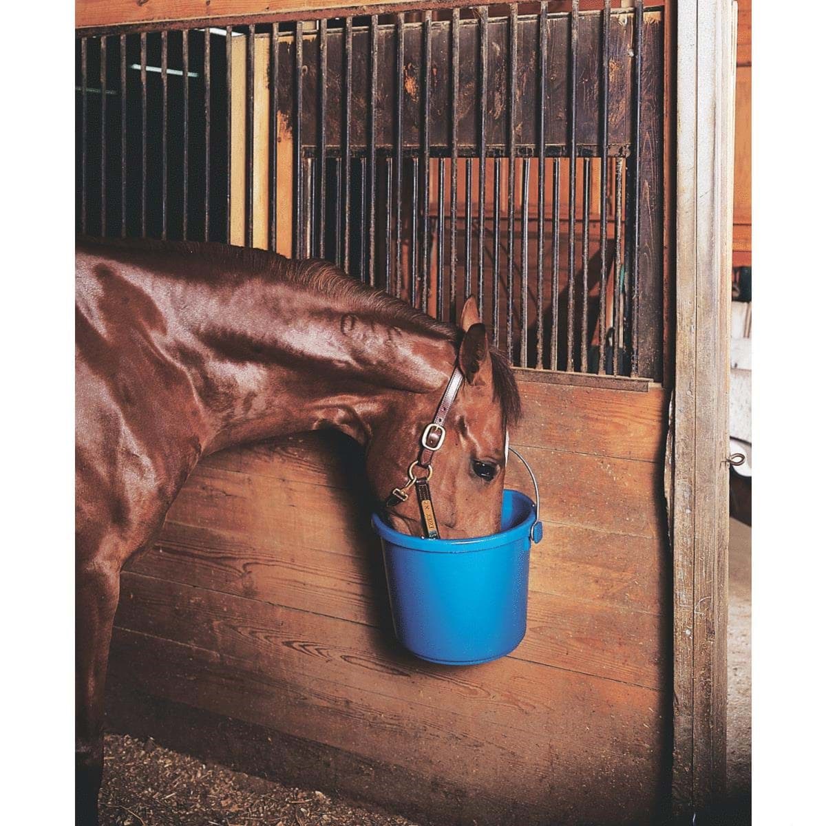 RopeSoapNDope. API 5 Gallon Plastic Heated Bucket