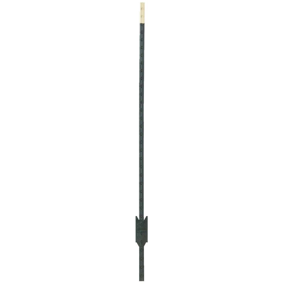 Picture of Painted Steel Medium-Duty Fence T-Post
