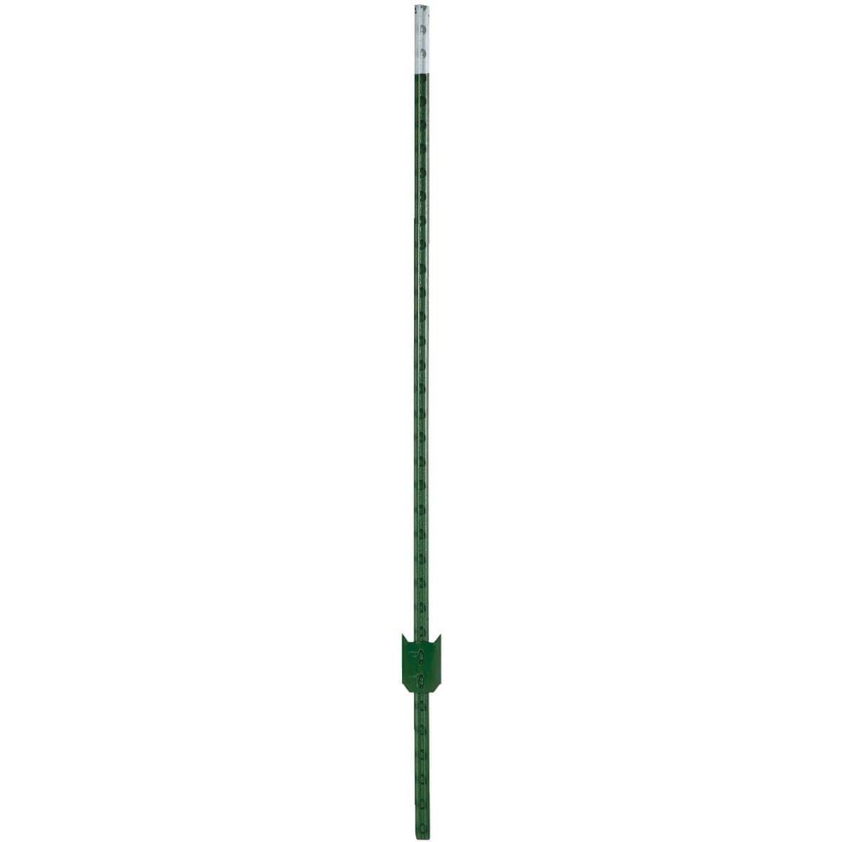 Picture of W. Silver T-Post