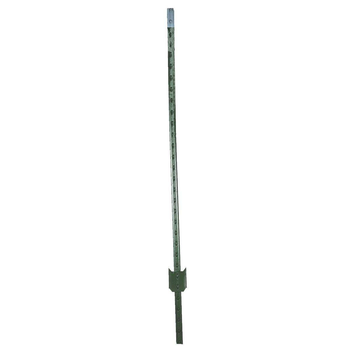 Picture of W. Silver T-Post