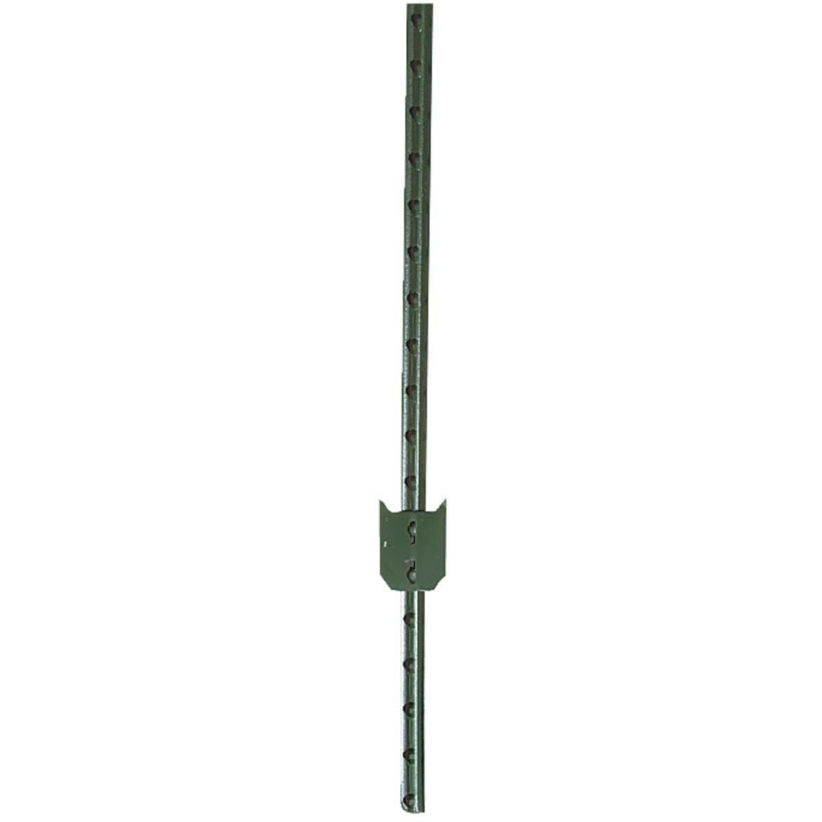 Picture of W. Silver T-Post