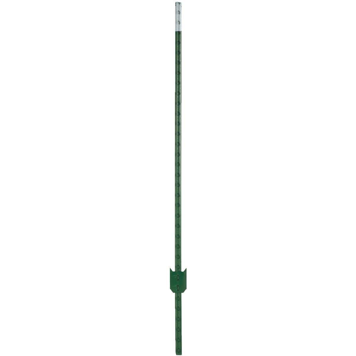 Picture of W. Silver T-Post