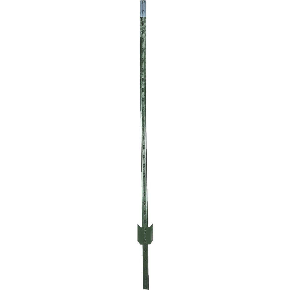 Picture of W. Silver T-Post