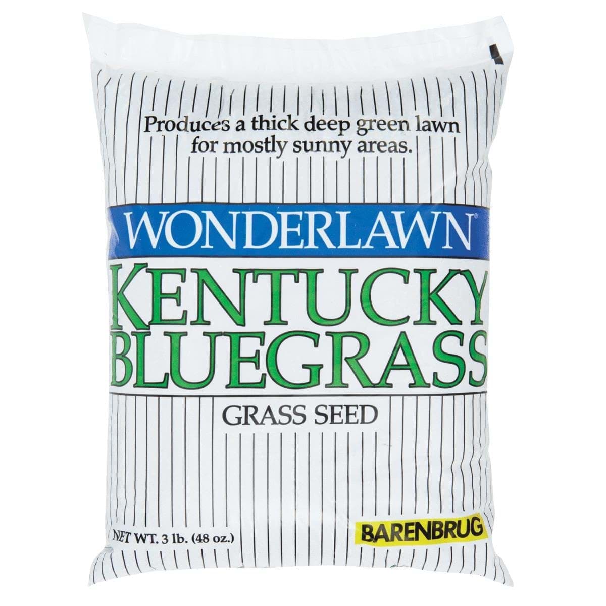 Picture of Wonderlawn Kentucky Bluegrass Grass Seed