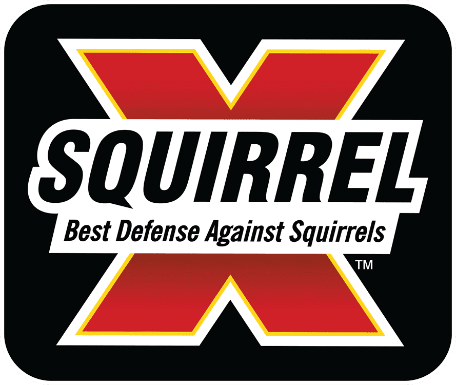 Picture for manufacturer Squirrel-X