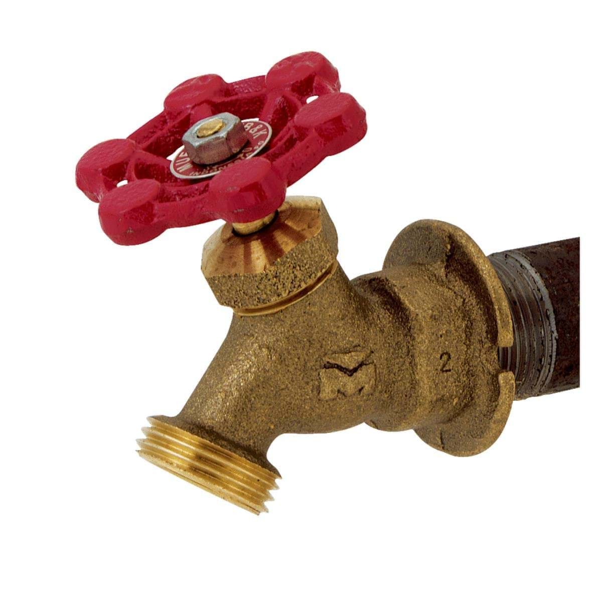 Picture of ProLine Lawn Sillcock - 3/4" FIPS X 3/4" MHT