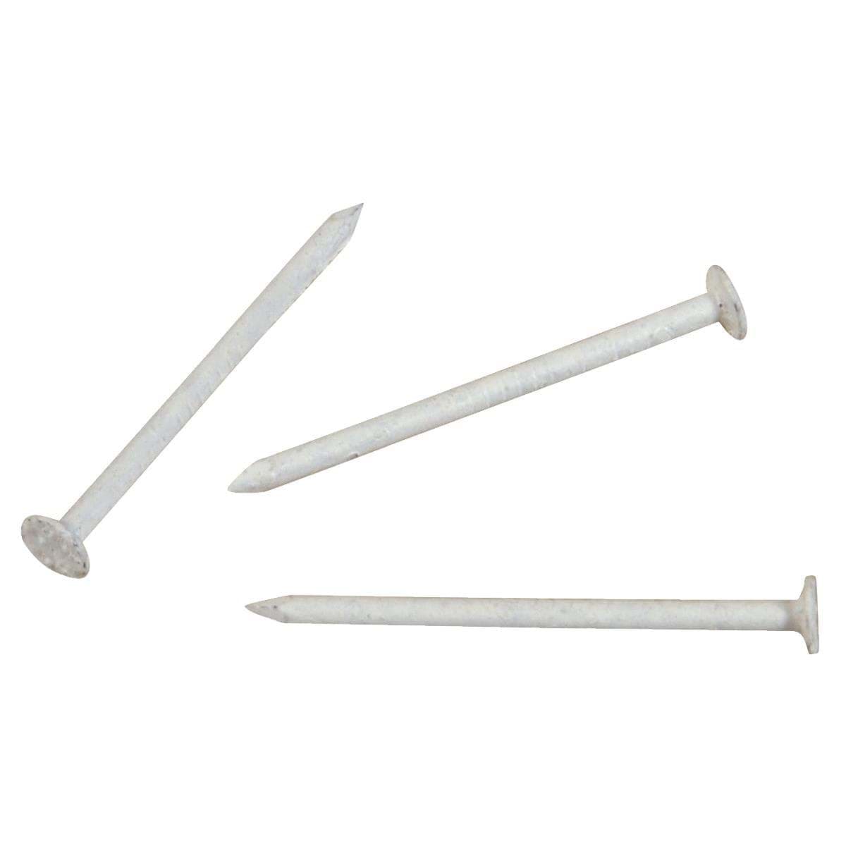 Picture of Hillman Stainless Steel Trim Nail - 1-1/4"