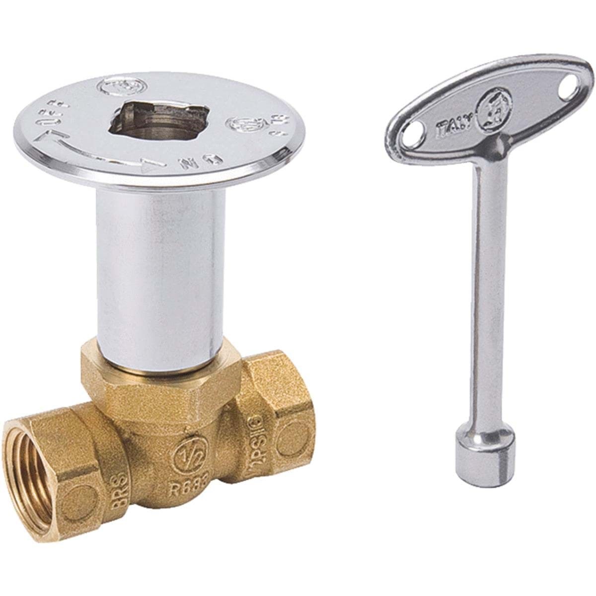 Picture of ProLine Log Lighter Gas Valve Kit - Straight Pattern