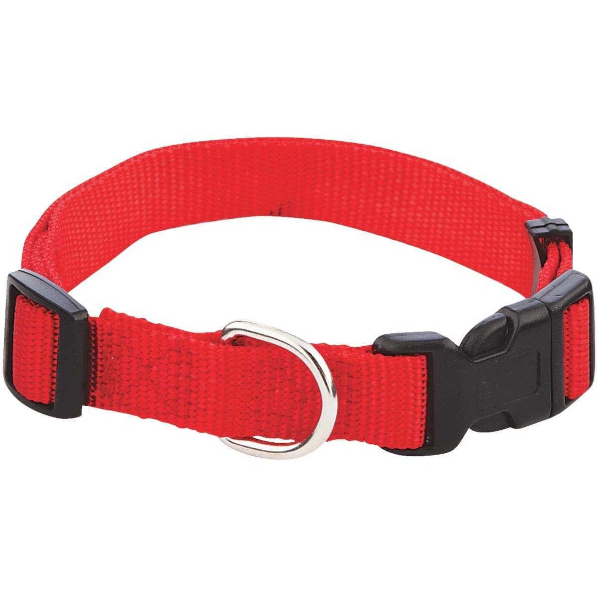 Picture of Westminster Pet Ruffin' it Adjustable Nylon Dog Collar
