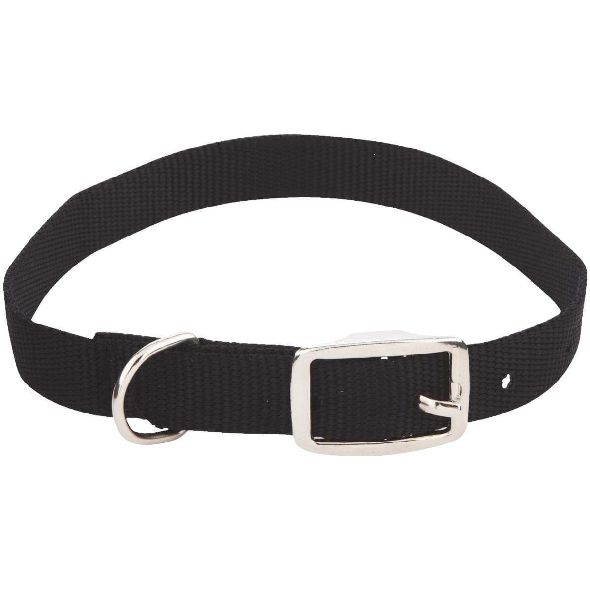Picture of Westminster Pet Ruffin' it Nylon Dog Collar