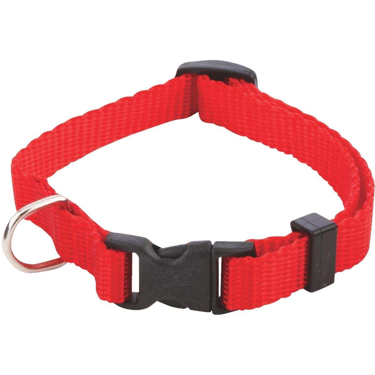 Picture of Westminster Pet Puppy And Cat Collar