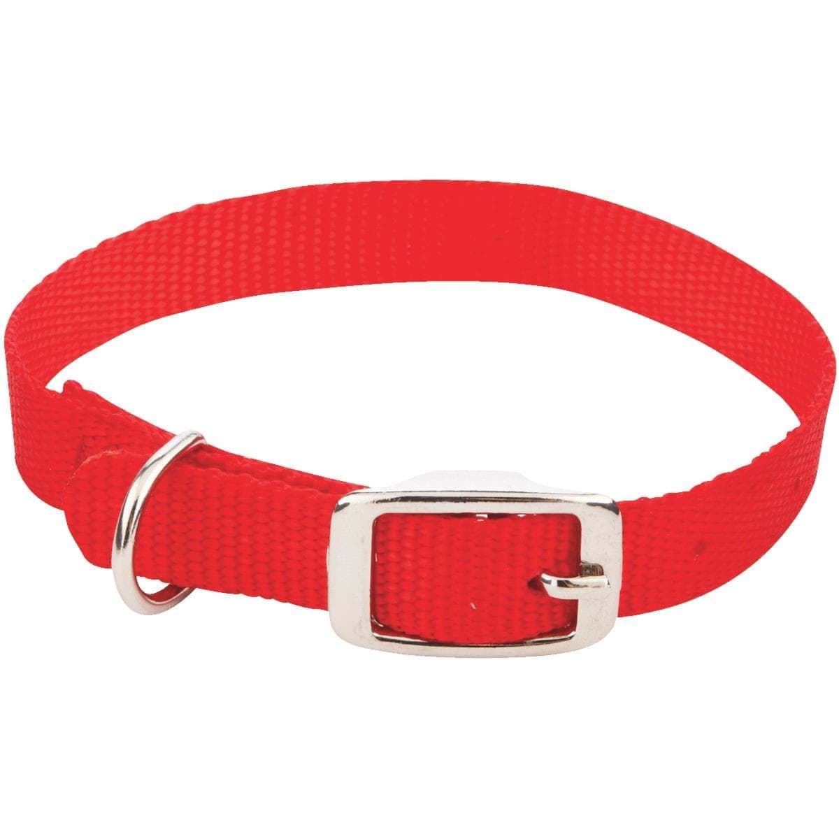 Picture of Westminster Pet Ruffin' it Nylon Dog Collar