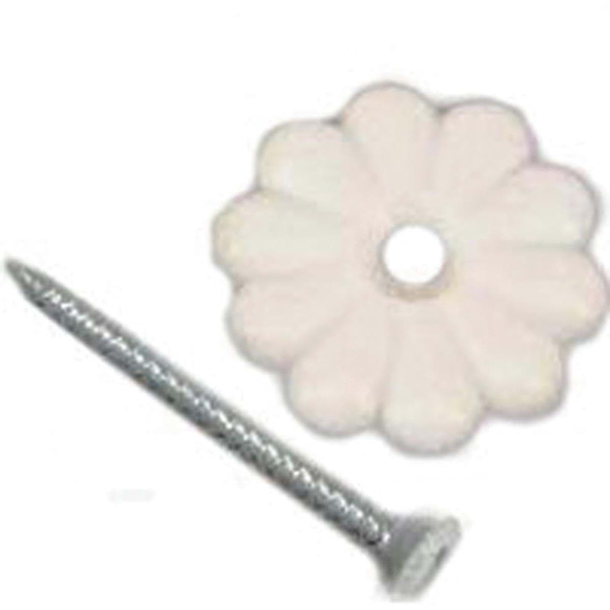 Picture of Rosette
