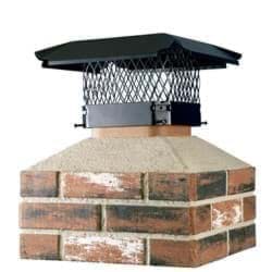 Picture for category Chimney Cap
