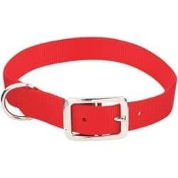 Picture for category Collars & Tags