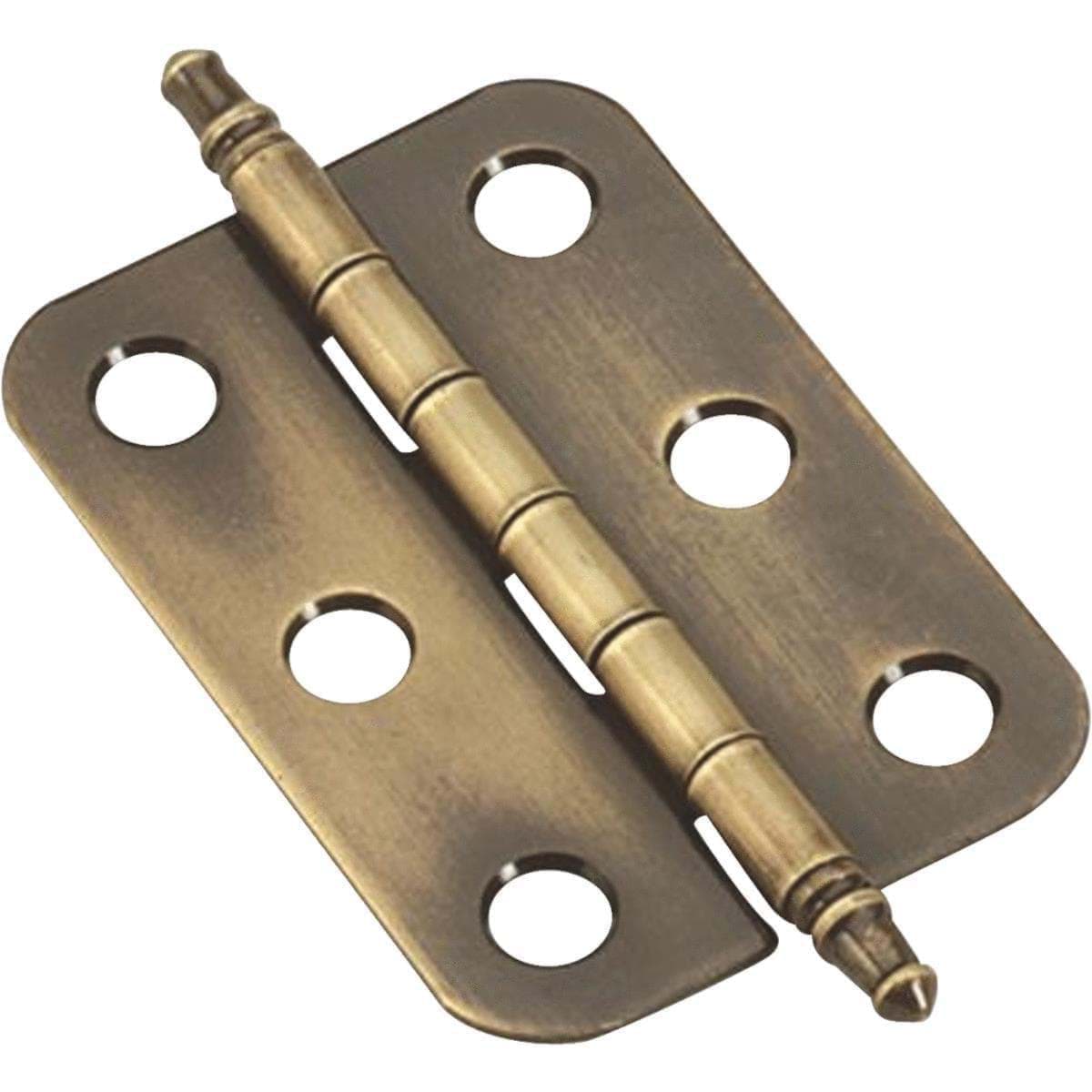 Picture for category Hinges
