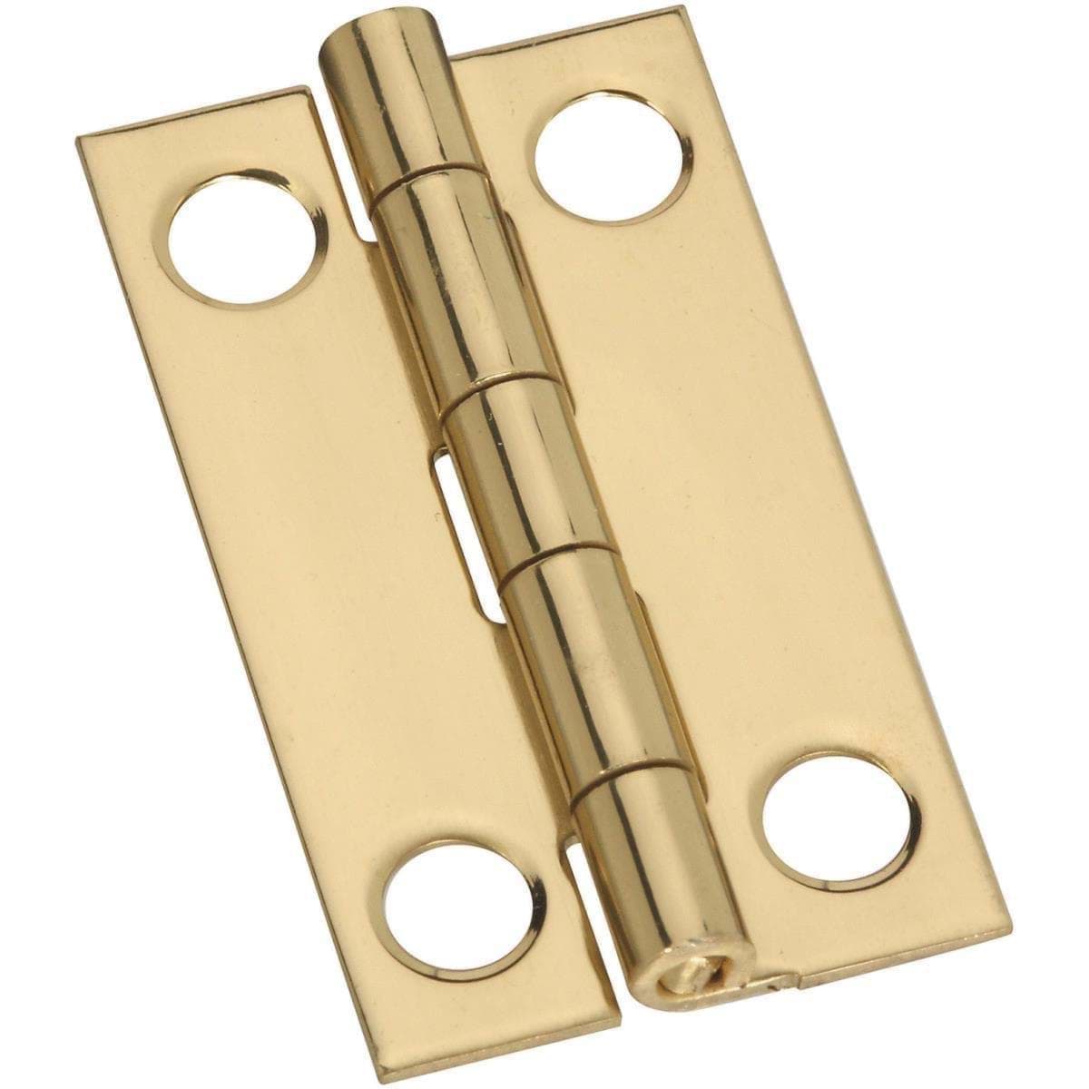 Picture for category General Purpose Hinges