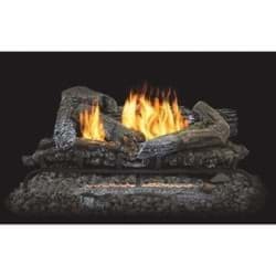 Picture for category Gas Logs