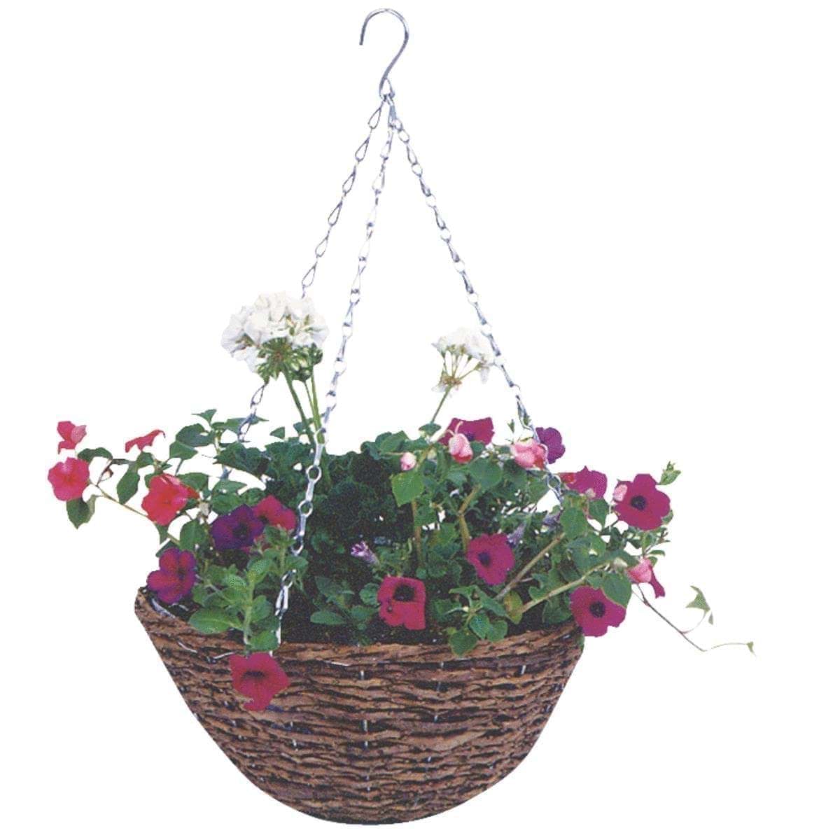 Picture for category Hanging Plant Basket