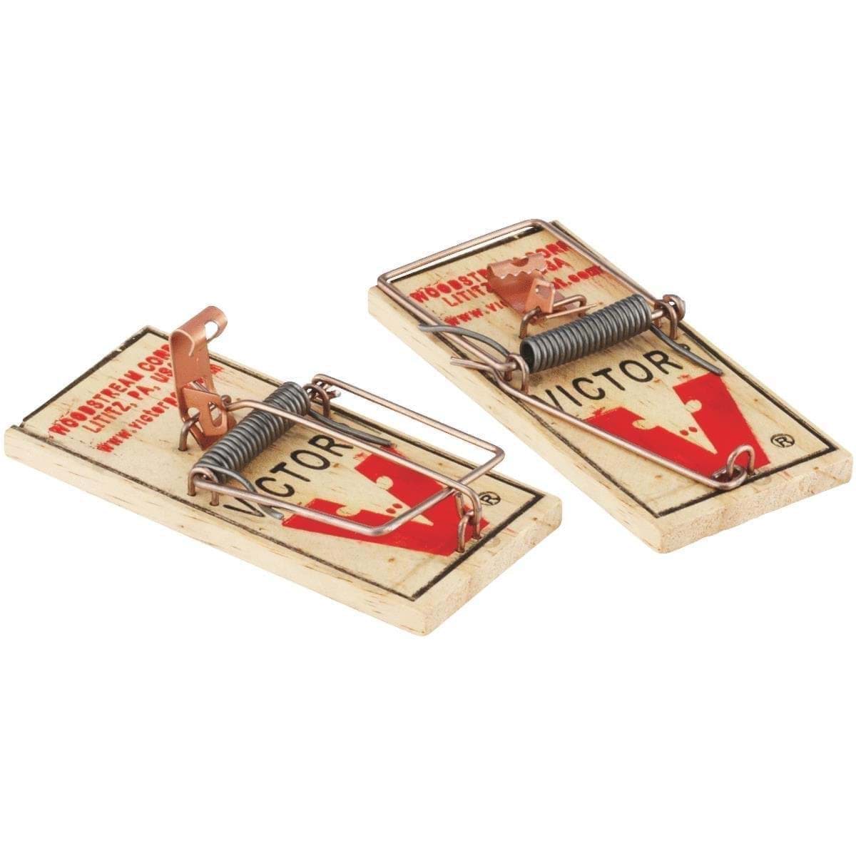 Picture for category Mouse & Rat Traps